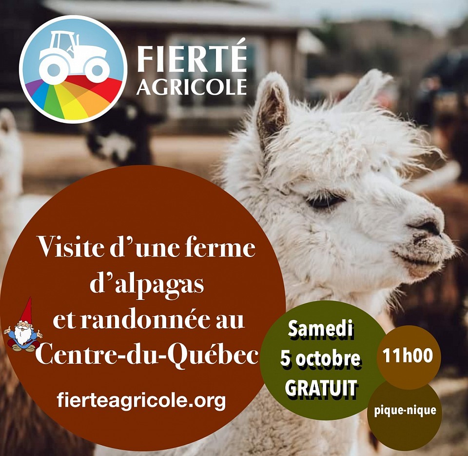 Visuel visite de ferme d’alpagas et randonnée